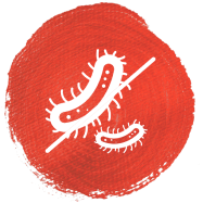 HMO eliminate pathogens through a decoy effect